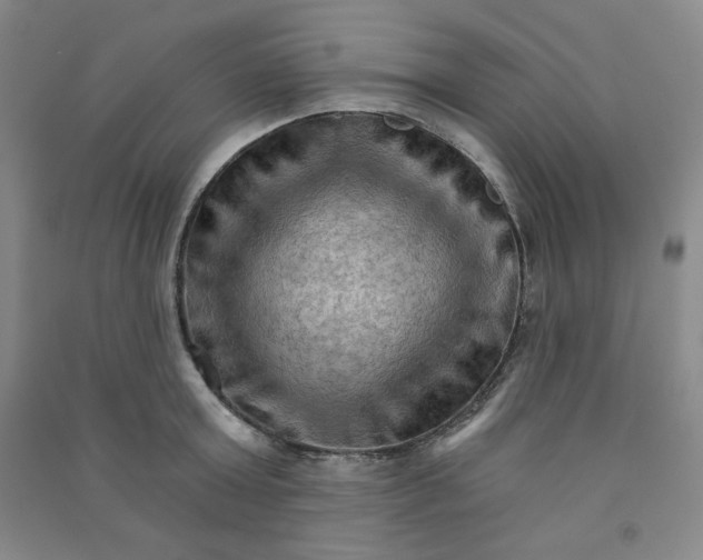 X0000090910803200708201740