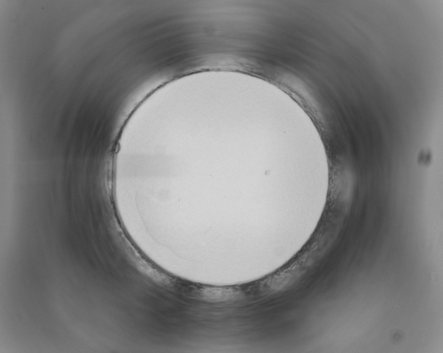 X0000090910804200708201740