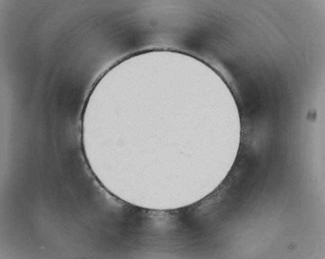 X0000090910807200708201740