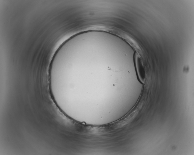 X0000090910808200708201740