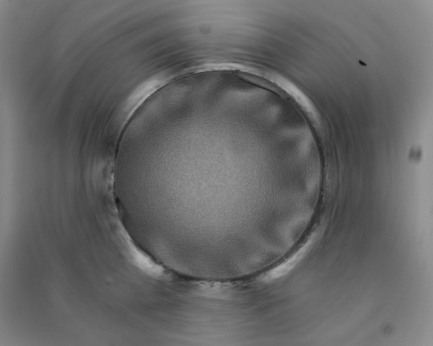 X0000090910809200708201740