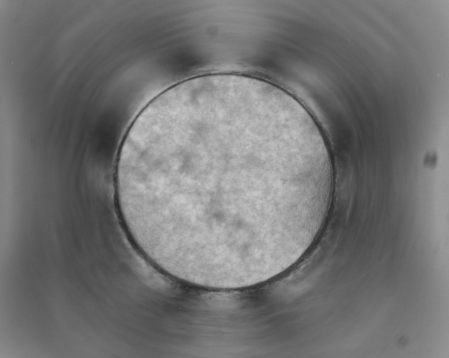 X0000090910810200708201740