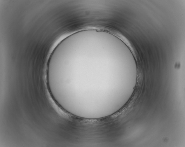 X0000090910811200708201740