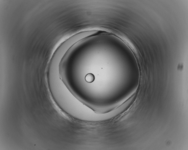 X0000090910813200708201740