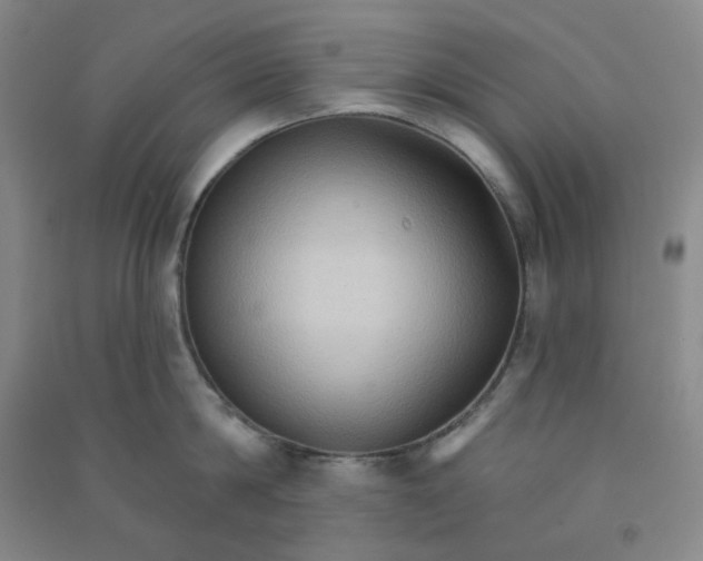 X0000090910814200708201740