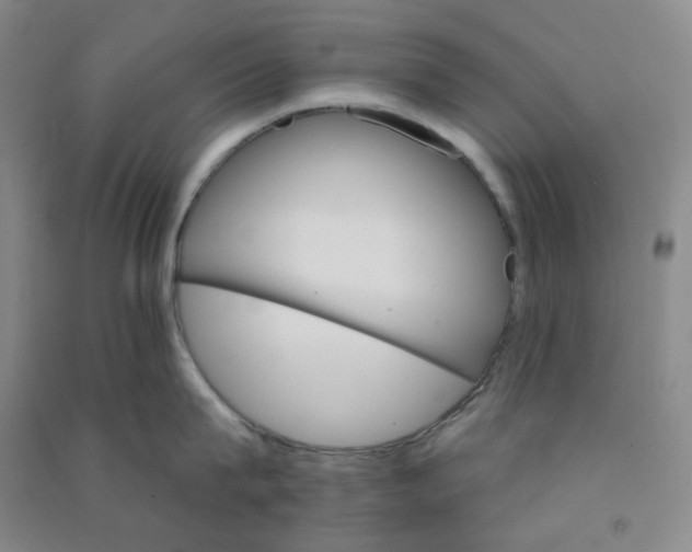 X0000090910815200708201740