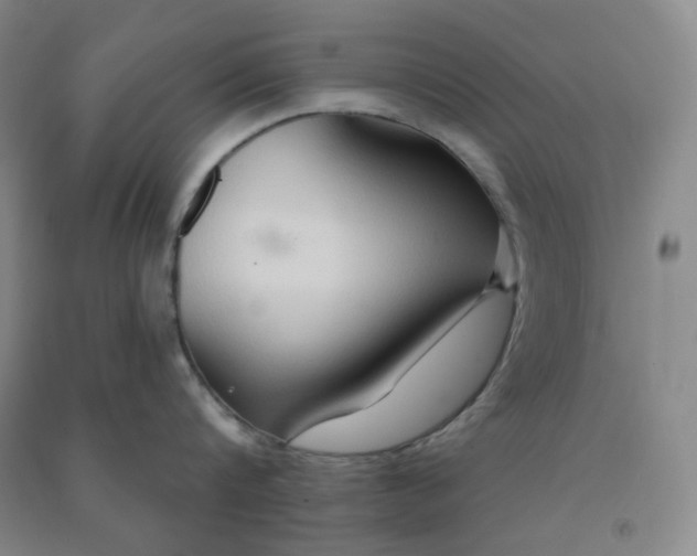 X0000090910816200708201740