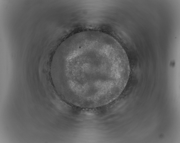 X0000090910817200708201739