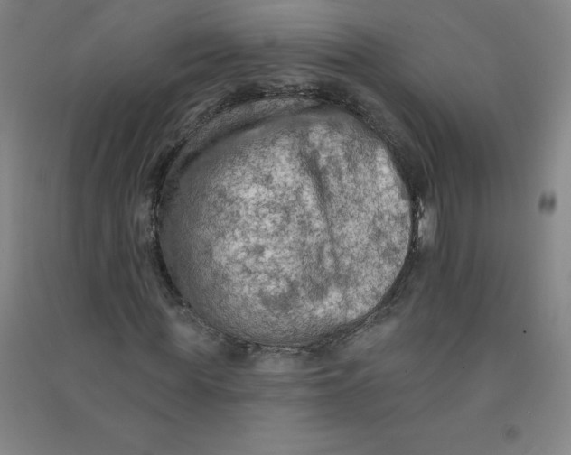 X0000090910819200708201739