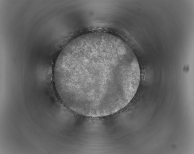 X0000090910820200708201739