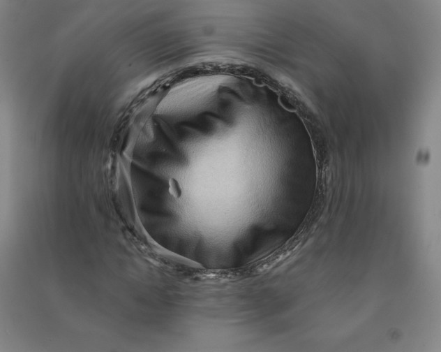 X0000090910822200708201739