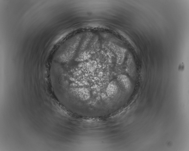 X0000090910823200708201739