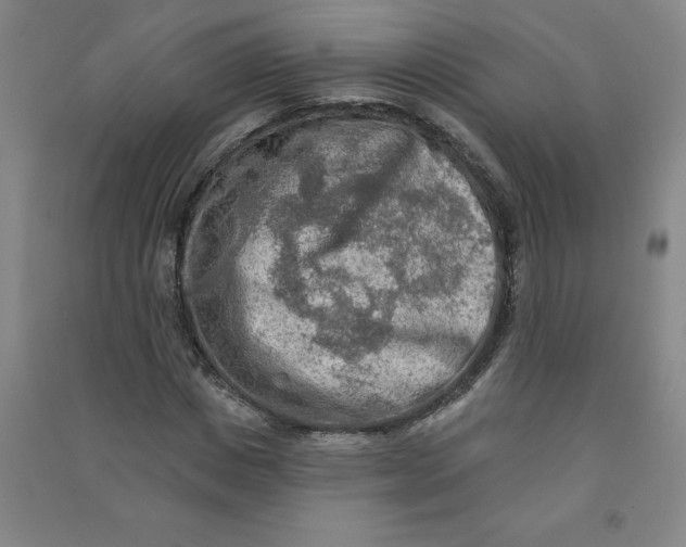 X0000090910825200708201739