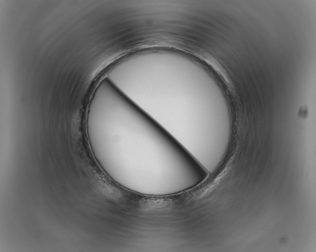 X0000090910826200708201739