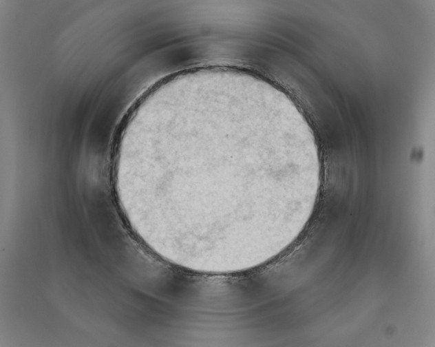 X0000090910828200708201739