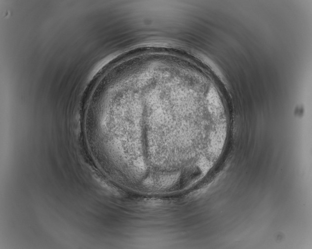 X0000090910829200708201739