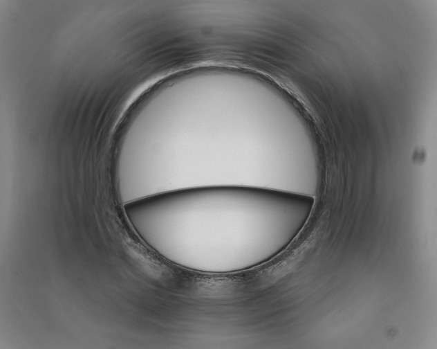 X0000090910830200708201739