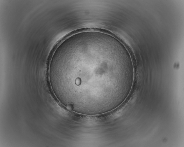 X0000090910831200708201739