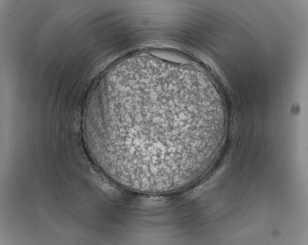 X0000090910833200708201739