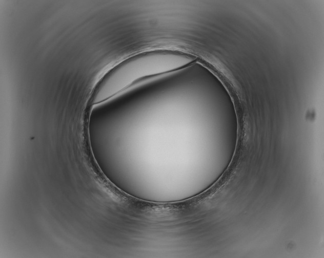 X0000090910834200708201739