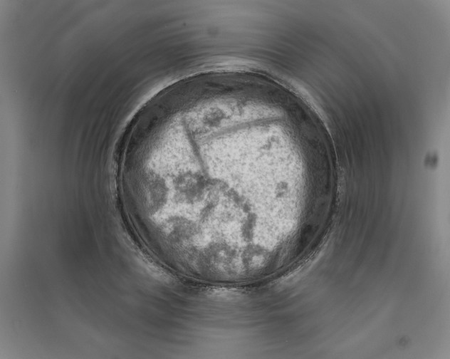 X0000090910835200708201739