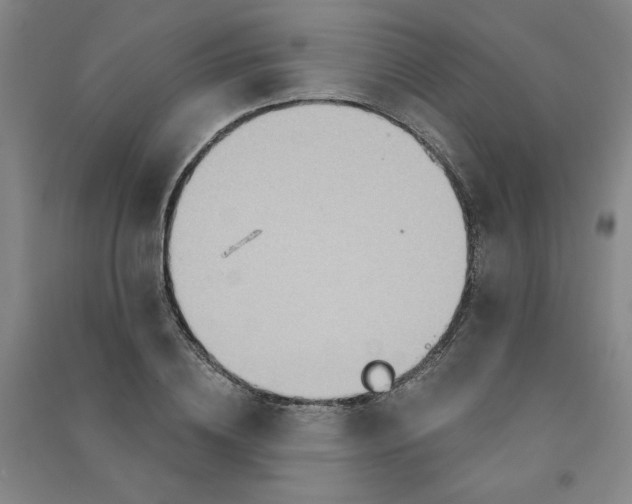 X0000090910836200708201739