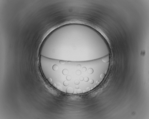 X0000090910837200708201739