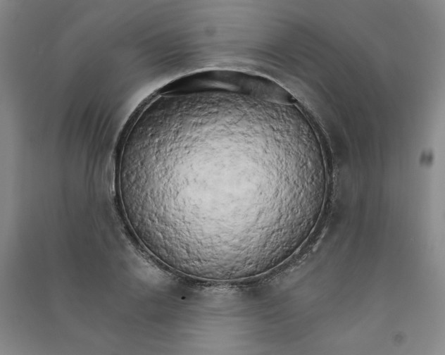 X0000090910838200708201739