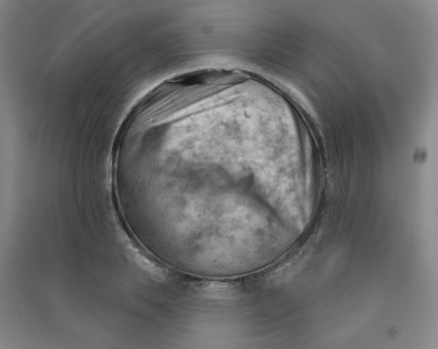 X0000090910839200708201739