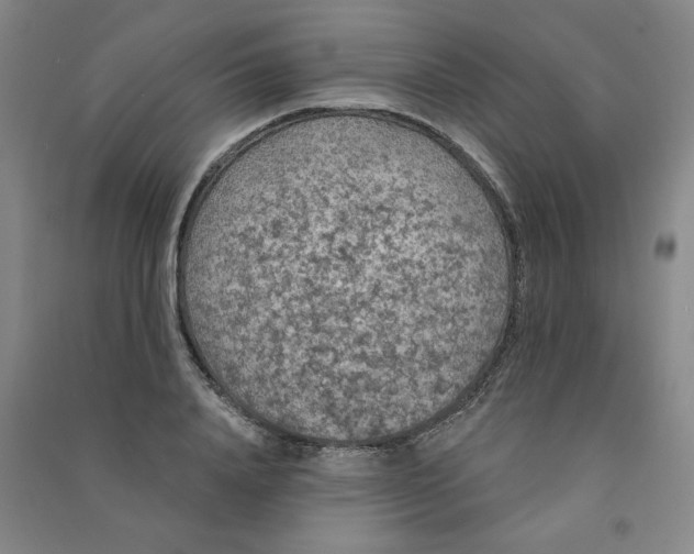 X0000090910840200708201739