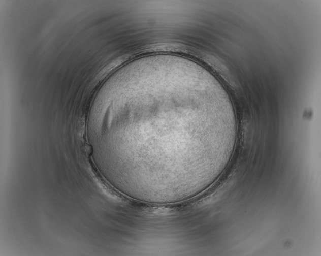 X0000090910841200708201740