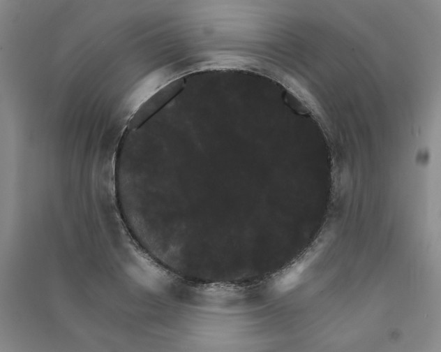 X0000090910842200708201740