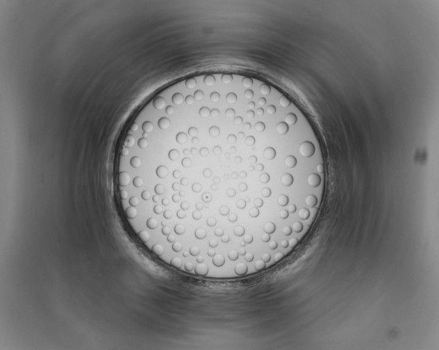 X0000090910843200708201740