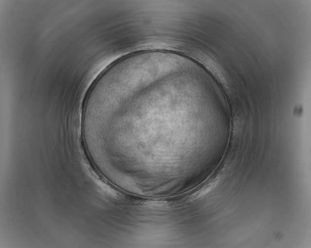 X0000090910844200708201740