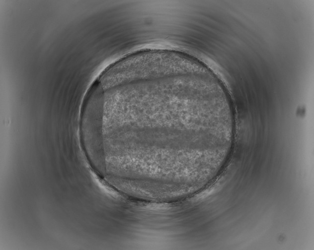 X0000090910845200708201740