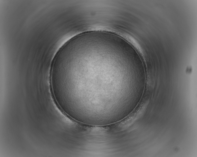 X0000090910847200708201740