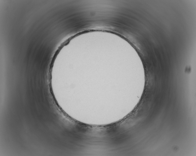 X0000090910848200708201740