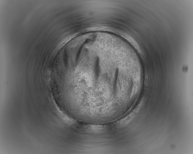 X0000090910849200708201740