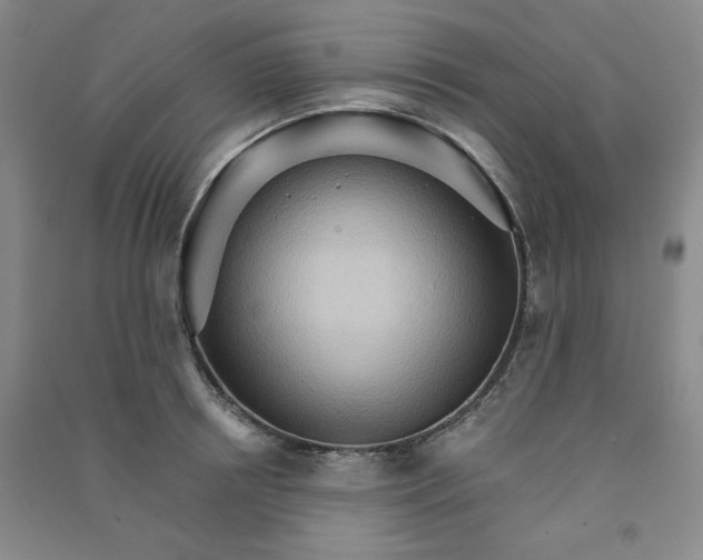 X0000090910850200708201740