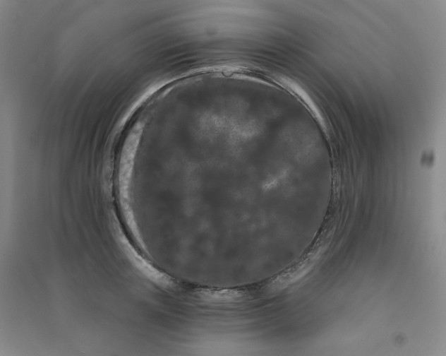 X0000090910851200708201740