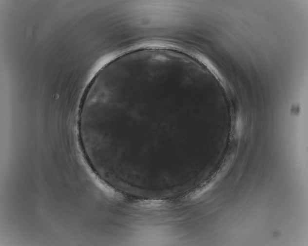 X0000090910853200708201740