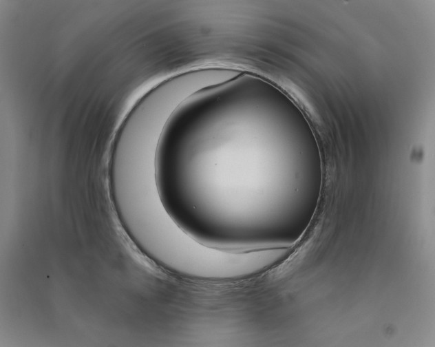 X0000090910854200708201740