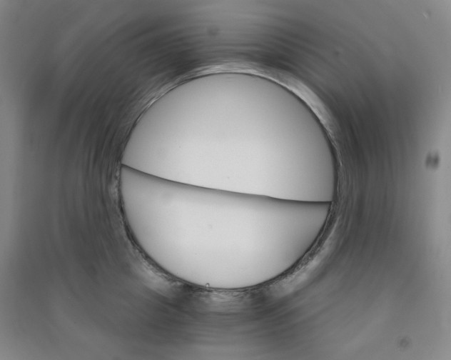 X0000090910857200708201740