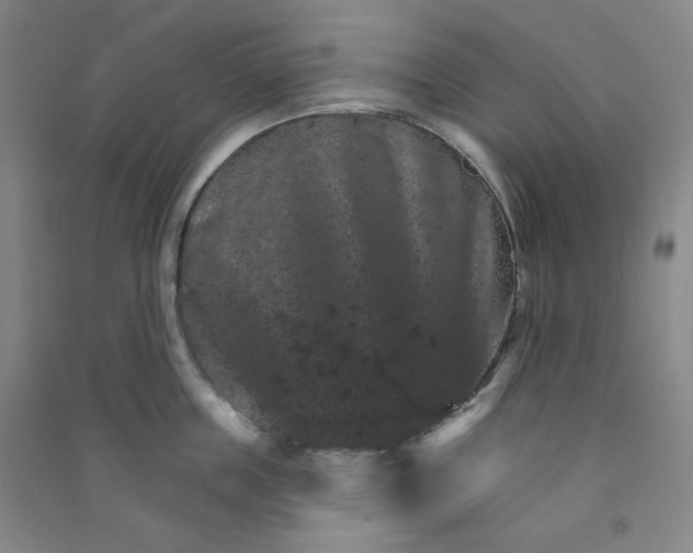 X0000090910859200708201740