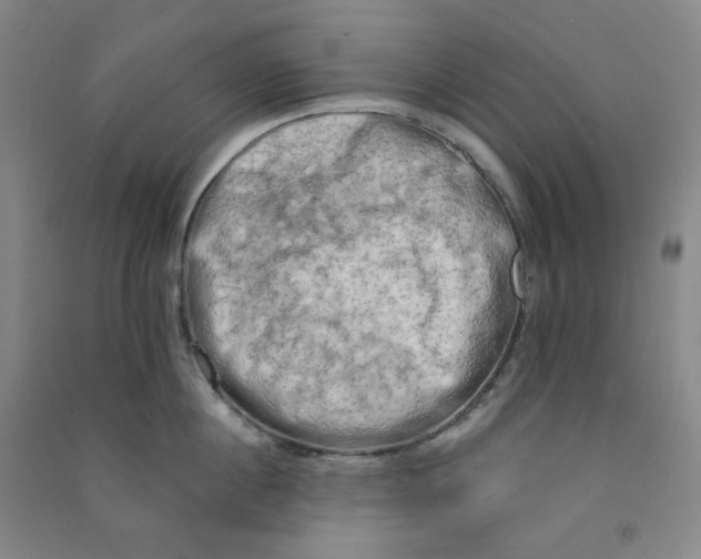 X0000090910860200708201740