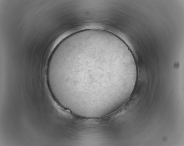 X0000090910861200708201740