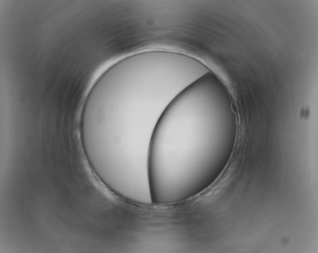 X0000090910862200708201740