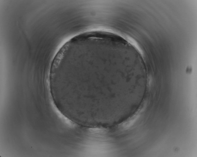 X0000090910863200708201740