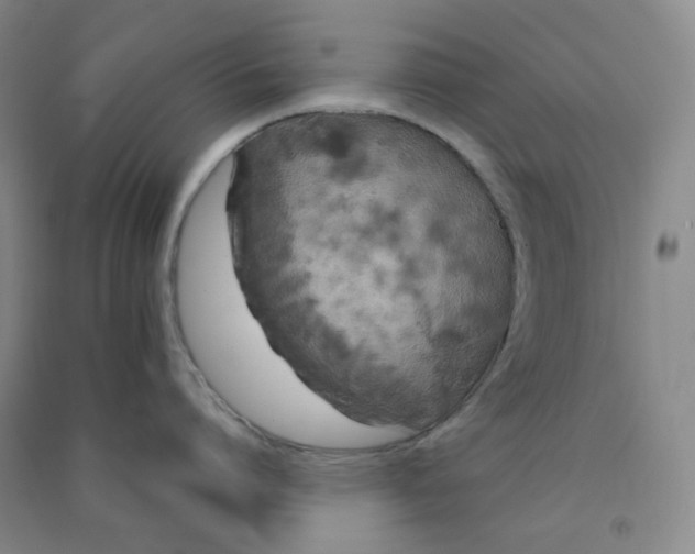 X0000090910864200708201740