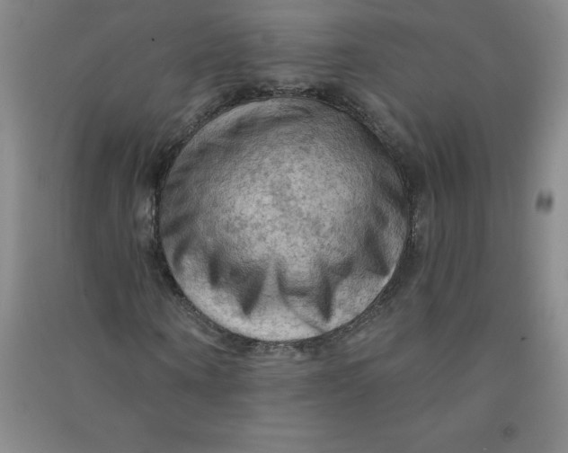 X0000090910866200708201739